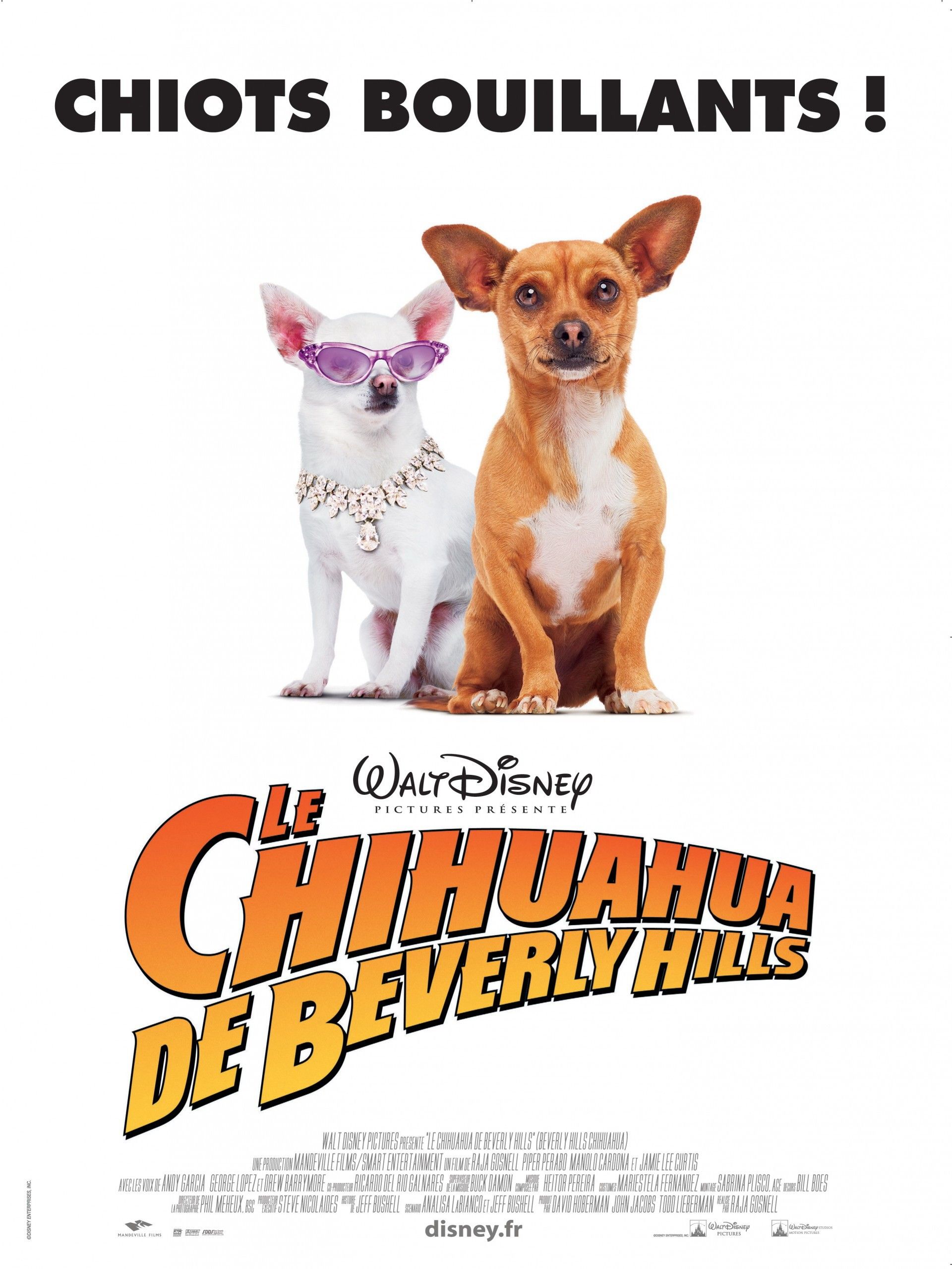 Beverly Hills Chihuahua French Dvdrip Xvid-Nerd