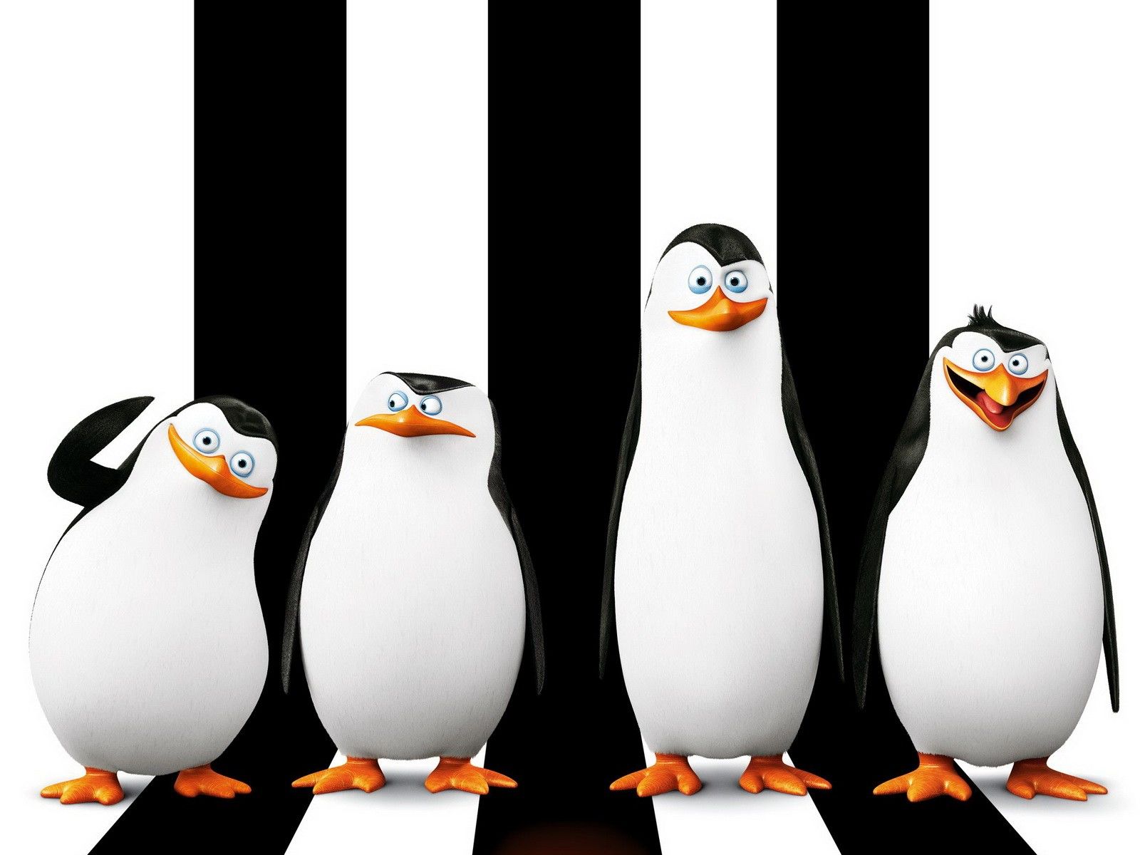 Пингвины Мадагаскара обои для рабочего стола