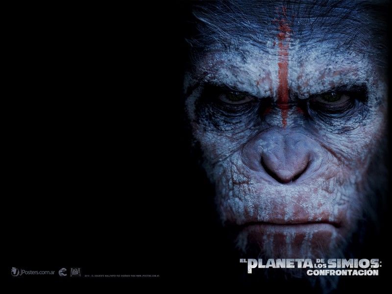 Планета обезьян: Революция обои для рабочего стола