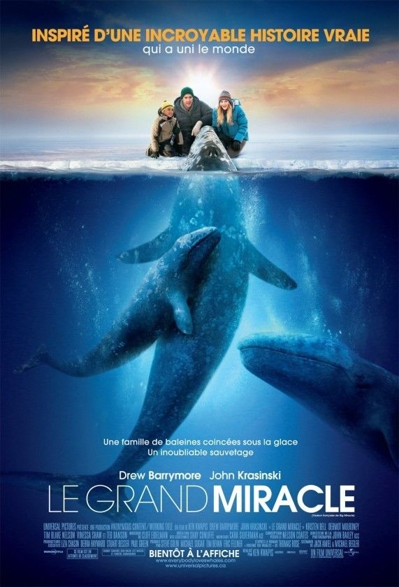 Все любят китов