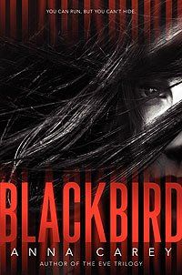 Blackbird Blackbird
