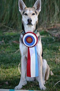 The Story of Roo!