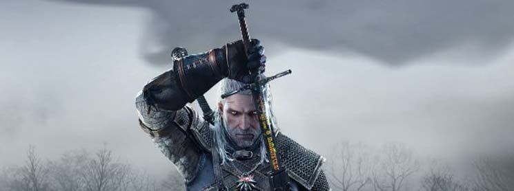 The Witcher The Witcher