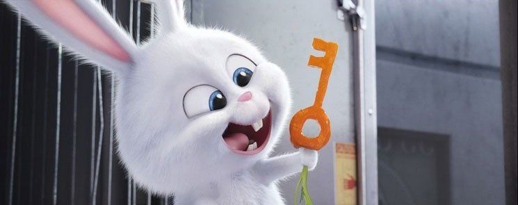 Тайная жизнь домашних животных Тайная жизнь домашних животных