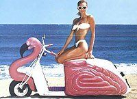 «Парень из «Фламинго»