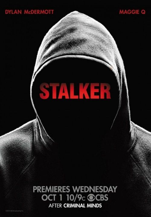 Сталкер (сериал 2014 – ...)