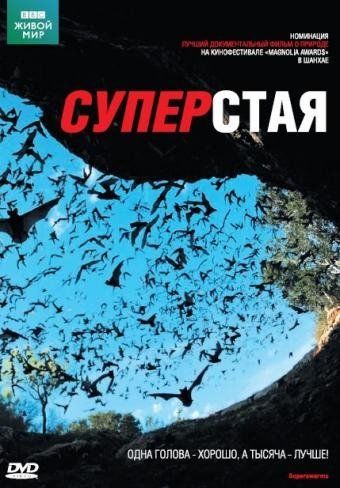 BBC: Суперстая (ТВ)