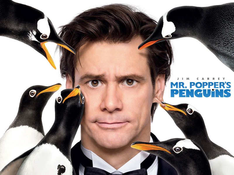 Пингвины Мистера Поппера обои для рабочего стола
