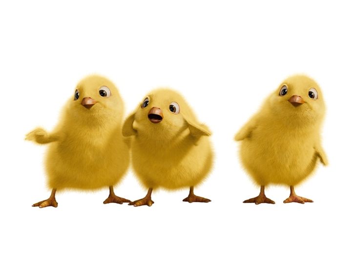 Бунт ушастых
