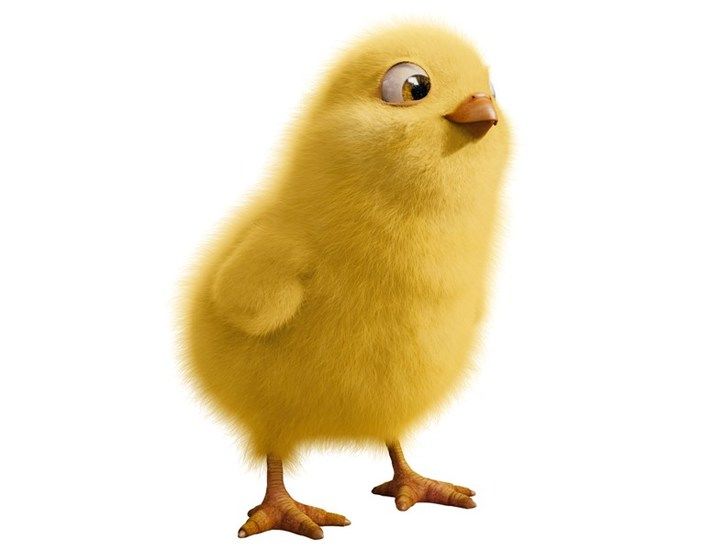 Бунт ушастых