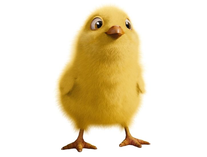 Бунт ушастых