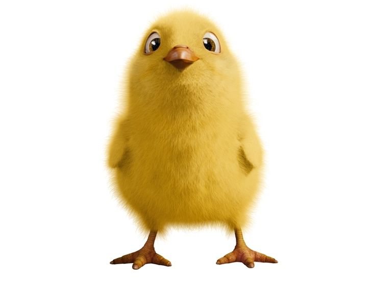 Бунт ушастых