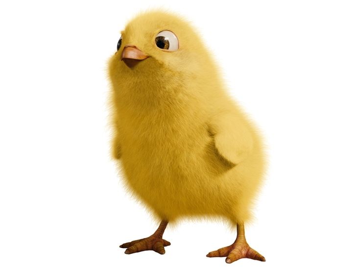 Бунт ушастых