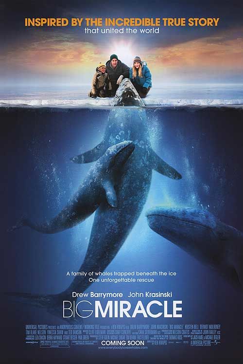 Все любят китов