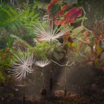 Погружение в мир «Одиссея одуванчика»: Исследуем диалоги и смыслы новой игры