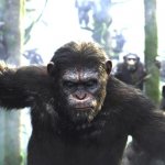 Конечно! Пожалуйста, предоставьте текст или заголовок, который вы хотите улучшить, и я помогу сделать его более привлекательным для русской аудитории.