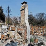 "Год после пожаров: как местные жители восстанавливают свои жизни и сообщества"