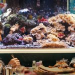 Берлинский кинофестиваль-2026 стартует с картины «Нет хороших людей» режиссера Шахрабана Садата!