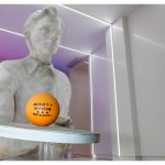 Тимоти Шаламе получил высшую оценку за роль в фильме «Marty Supreme»!