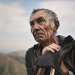 "Пастух и медведь": как два вымирающих вида сражаются за выживание в Пиренеях – обзор уникальной истории природы.