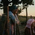 «Variations on a Theme»: Лирическая победа Роттердамского кинофестиваля — женщина, козы и размышления о жизни в волшебном кинопутешествии.