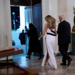 "Фильм 'Мелания' теряет 67% сборов в США: что стоит за резким падением и как Rotten Tomatoes защищает свои рейтинги?"