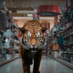 Кинокомпания Coproduction Office запускает продажи фильма «Эйфория» Юлиана Розфельдта с голосом Кейт Бланшетт – не упустите шанс!