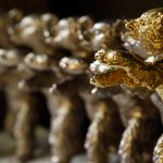 «Берлинский кинофестиваль: стартовала церемония награждения — следите за обновлениями в реальном времени!»