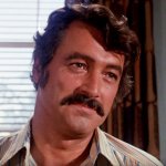 "Роджер Эберт о наследии Джина Родденберри: что сказал знаменитый критик?"