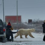 Режиссеры «Медведя-нарушителя» раскрыли секрет, почему их фильм стал «супер...» и чем он удивит зрителей!