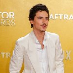 Тимоти Шаламе под огнем критики: его высказывания о опере и балете вызывают бурные дискуссии.