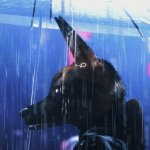 "Изучая идентичность: Фильм 'Bouchra' от Prada погружает в мир самовыражения и социальных вопросов"